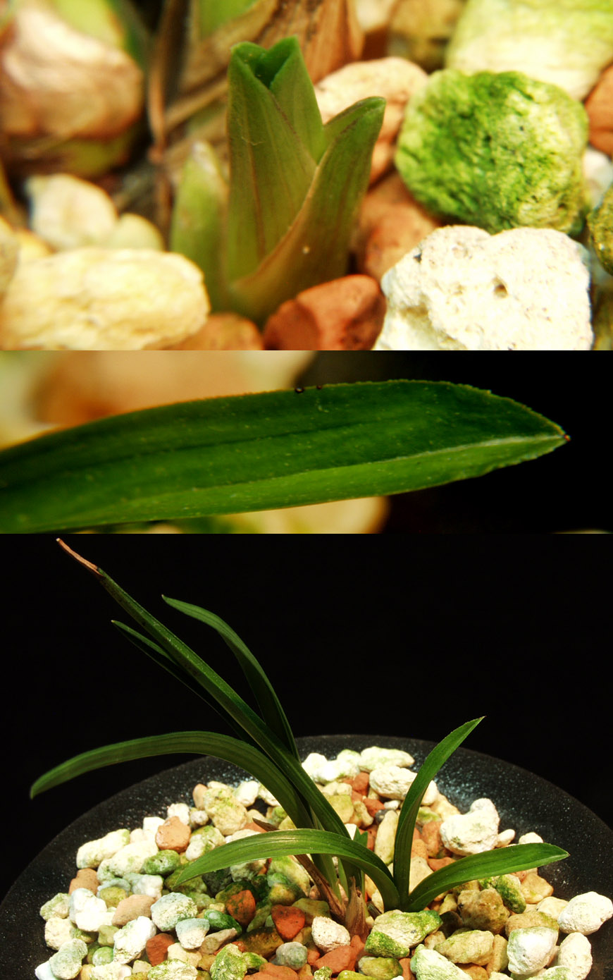 ������ ū������ �� �� �ֽ��ϴ�.