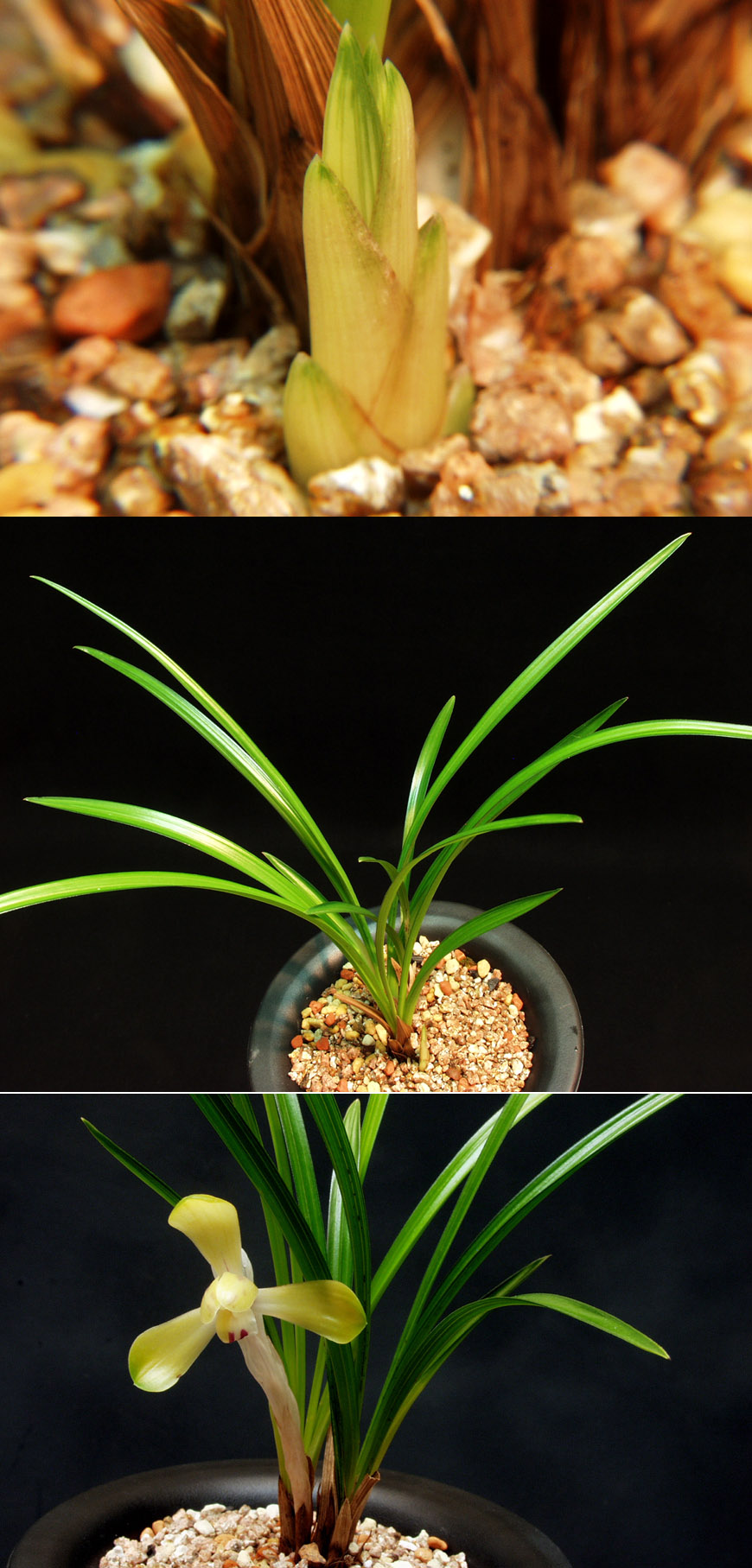 ������ ū������ �� �� �ֽ��ϴ�.