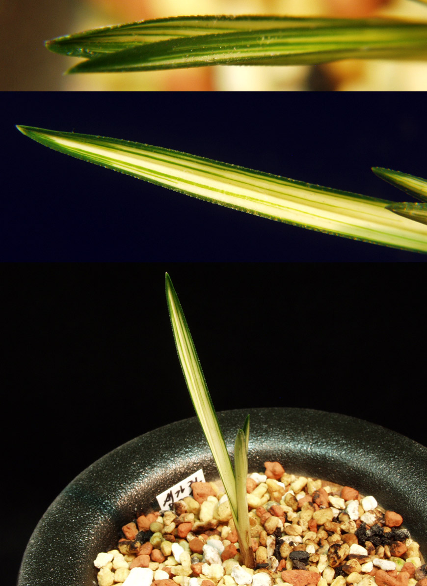 ������ ū������ �� �� �ֽ��ϴ�.