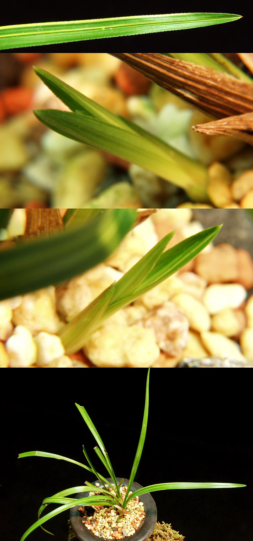 ������ ū������ �� �� �ֽ��ϴ�.