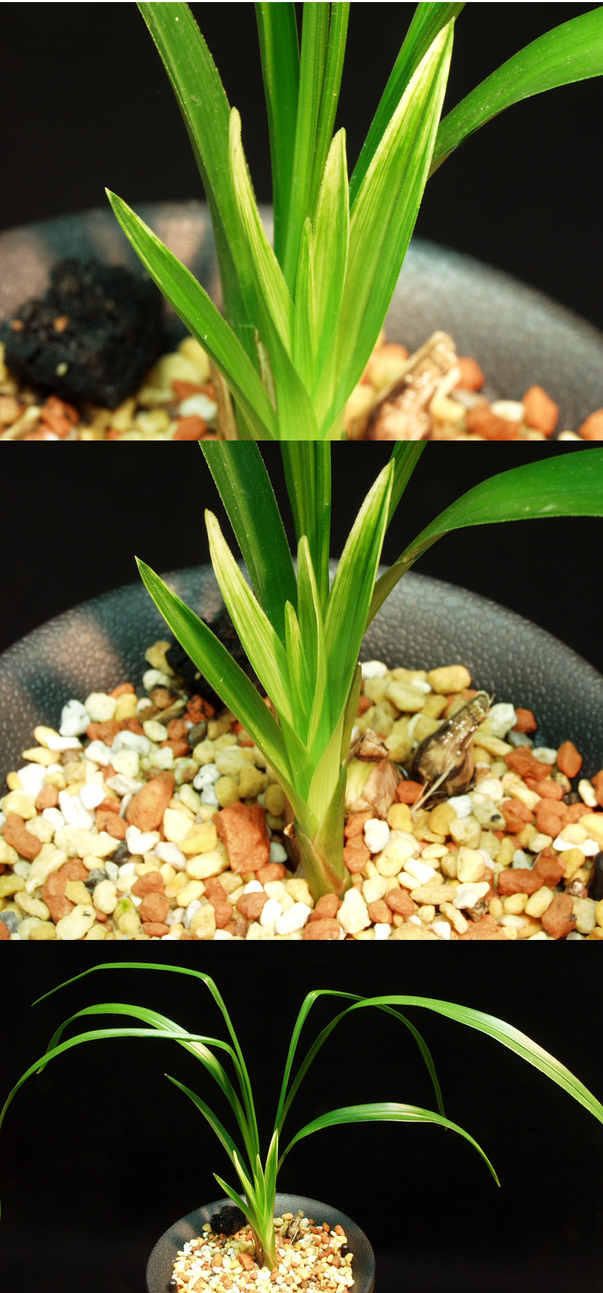 ������ ū������ �� �� �ֽ��ϴ�.