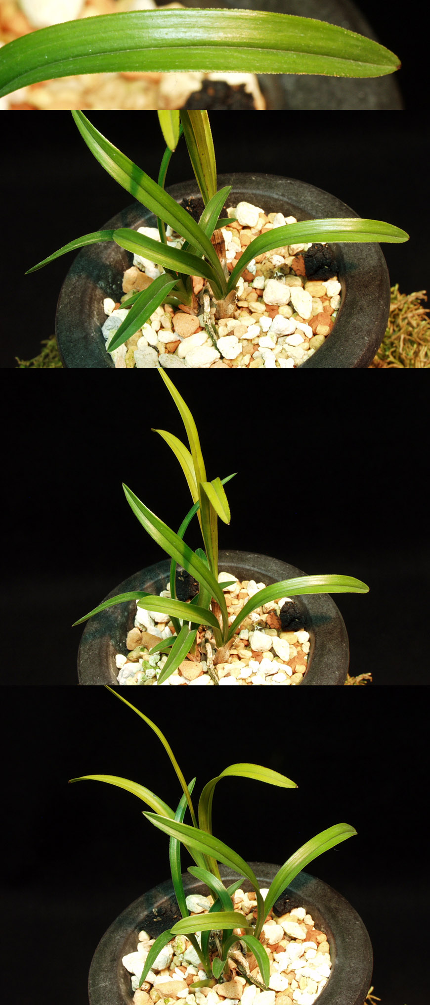 ������ ū������ �� �� �ֽ��ϴ�.