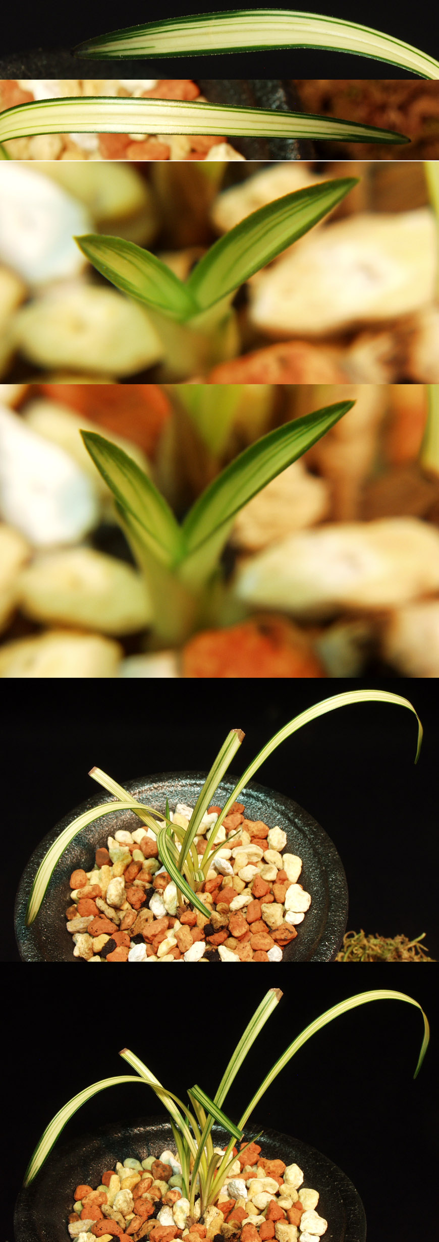 ������ ū������ �� �� �ֽ��ϴ�.