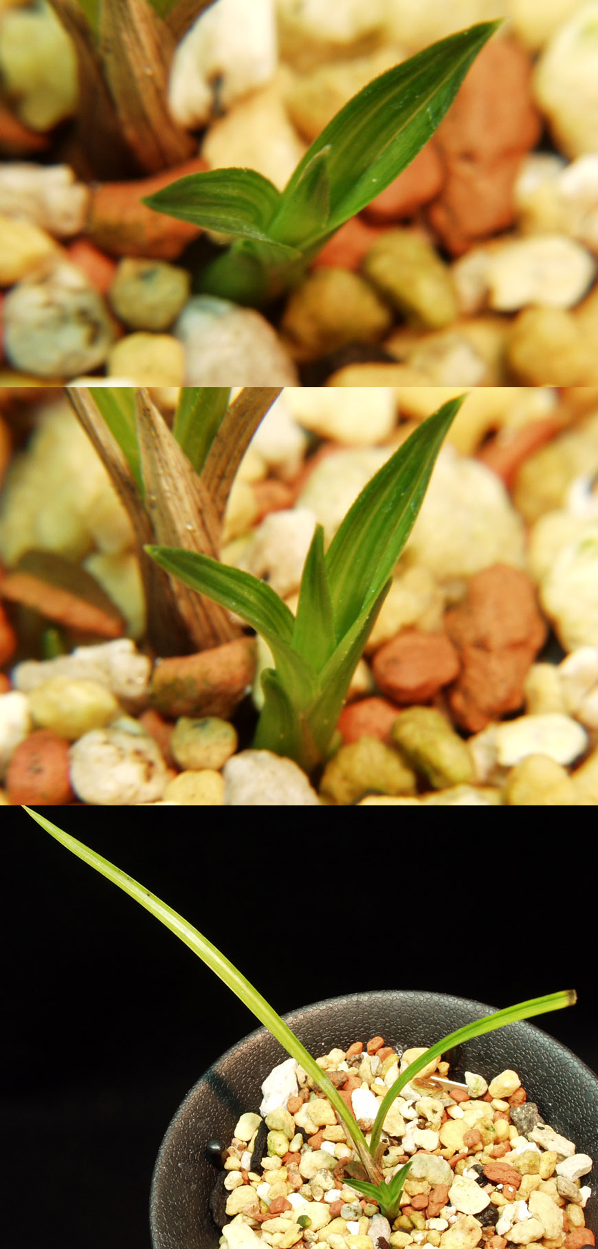 ������ ū������ �� �� �ֽ��ϴ�.