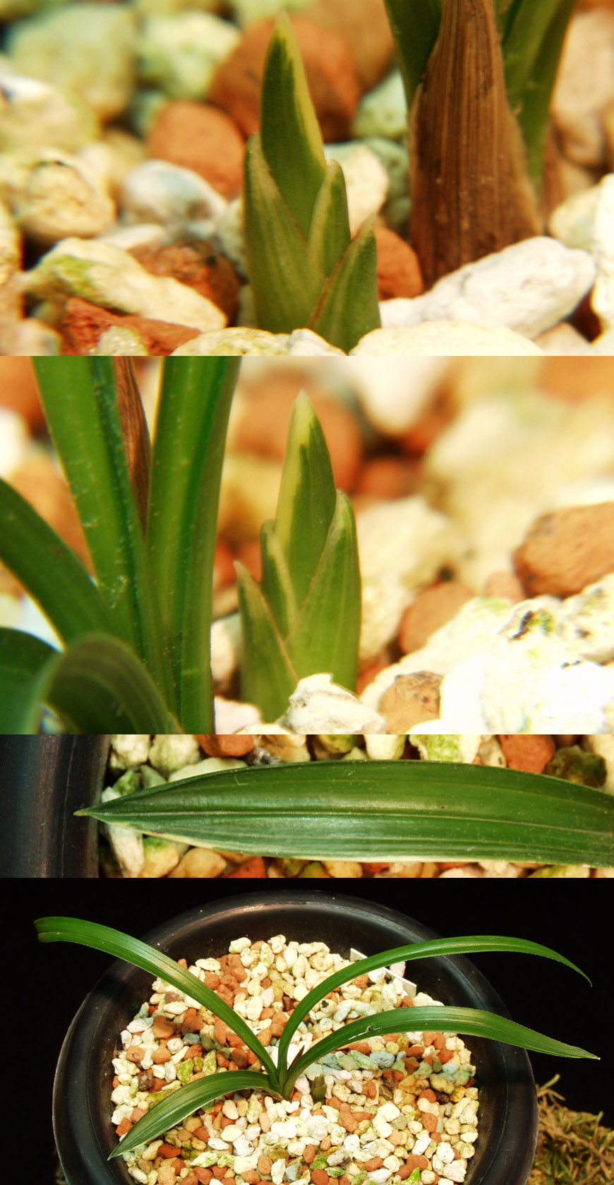 ������ ū������ �� �� �ֽ��ϴ�.