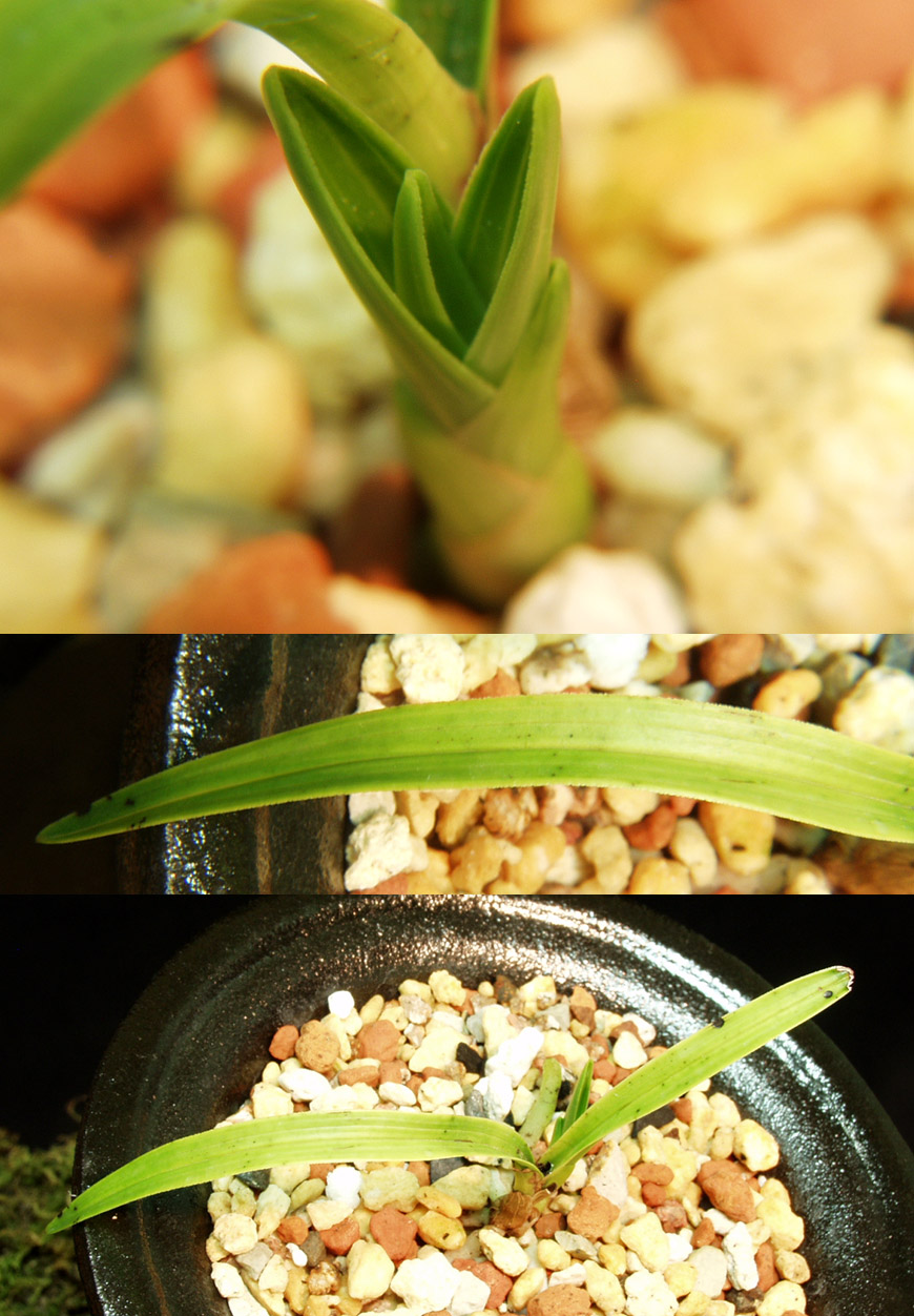 ������ ū������ �� �� �ֽ��ϴ�.