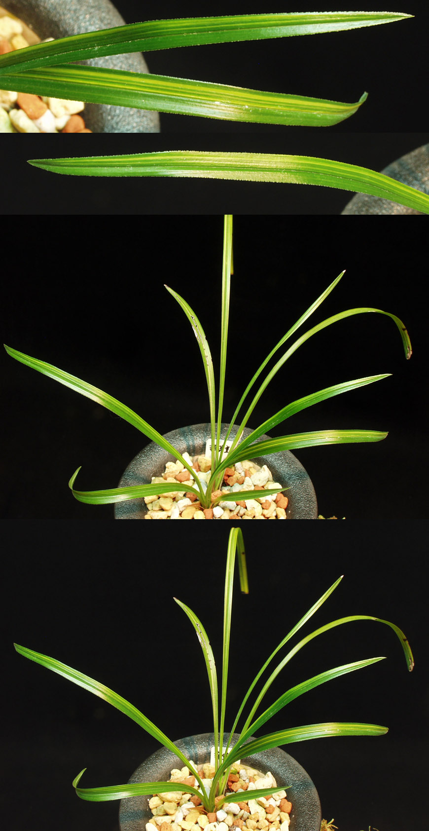 ������ ū������ �� �� �ֽ��ϴ�.