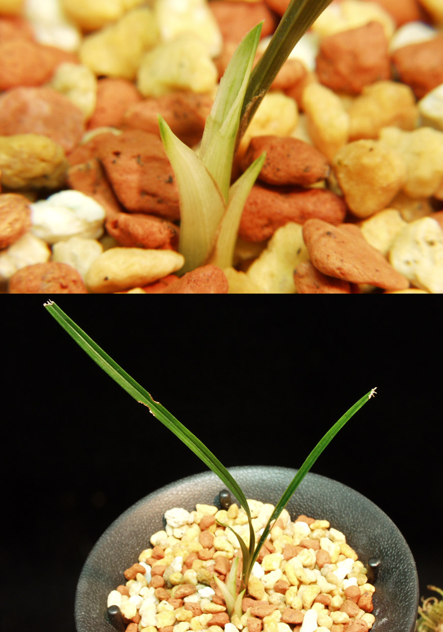 ������ ū������ �� �� �ֽ��ϴ�.