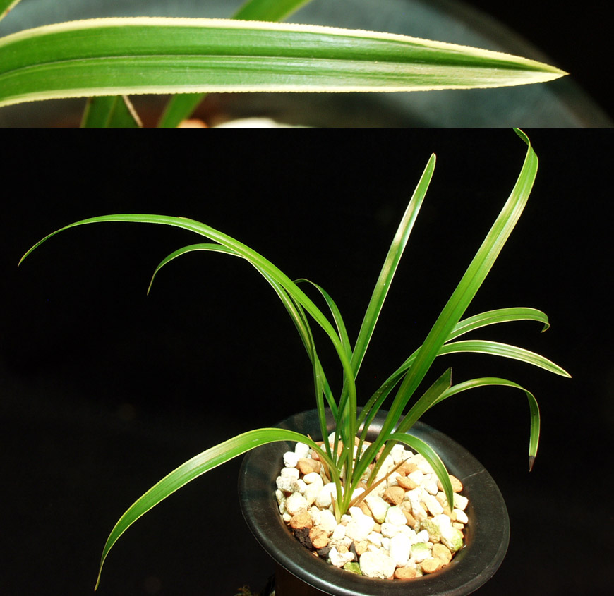 ������ ū������ �� �� �ֽ��ϴ�.