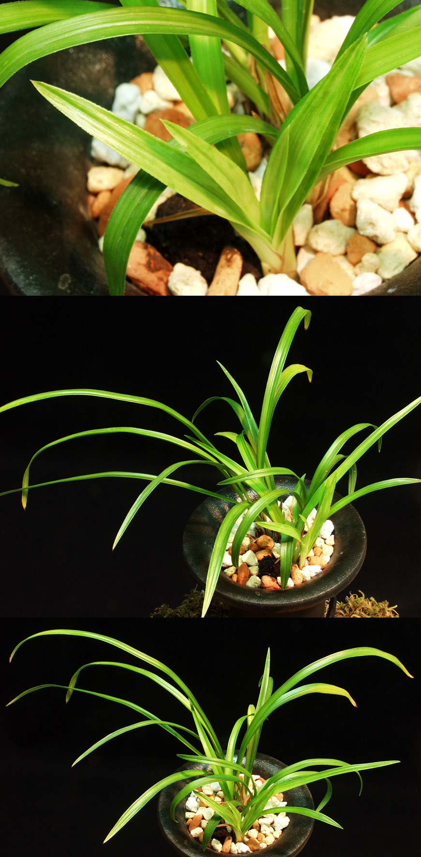 ������ ū������ �� �� �ֽ��ϴ�.