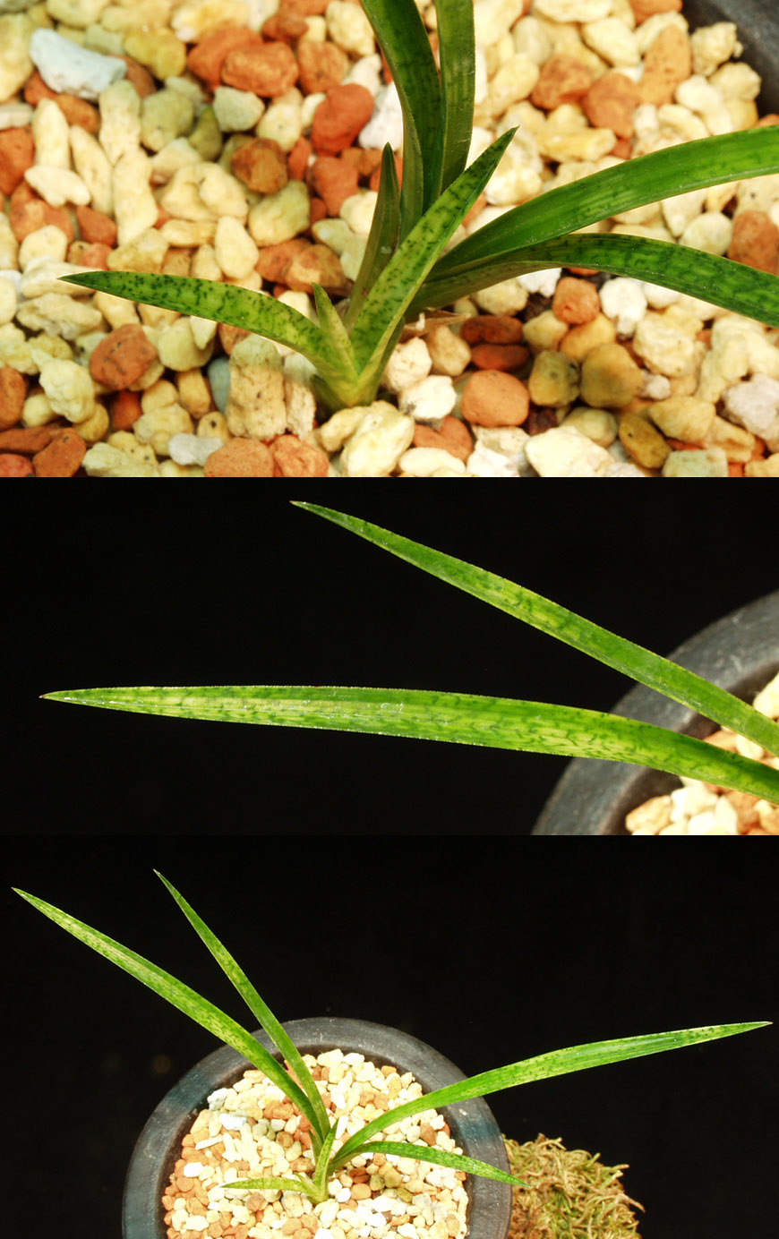 ������ ū������ �� �� �ֽ��ϴ�.