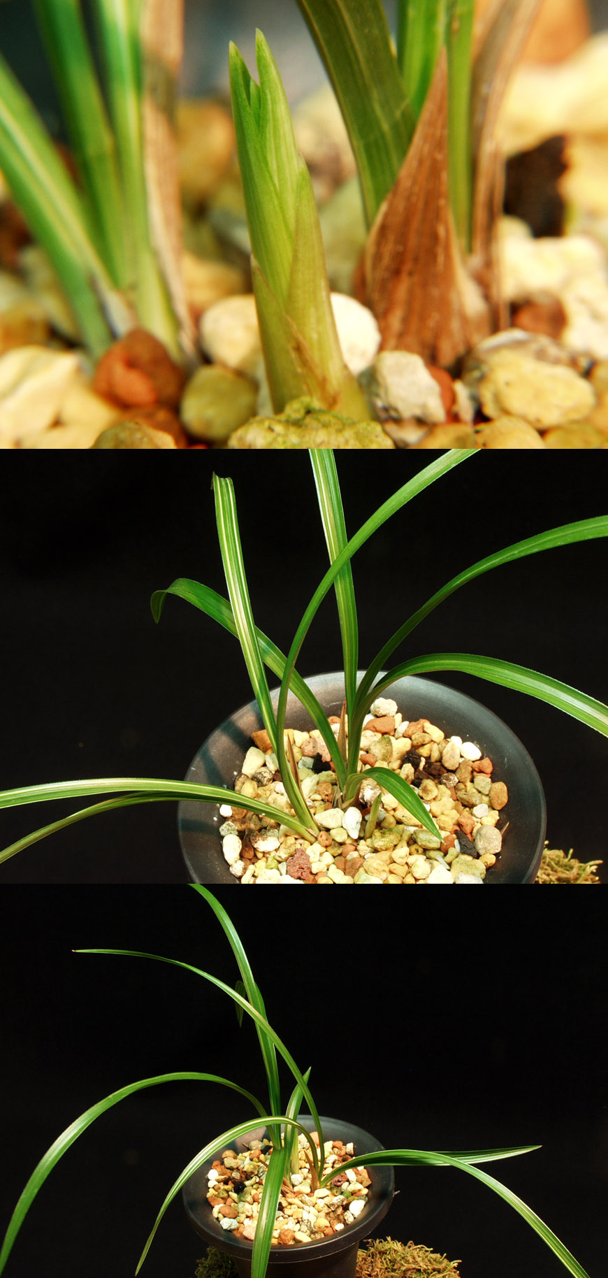 ������ ū������ �� �� �ֽ��ϴ�.