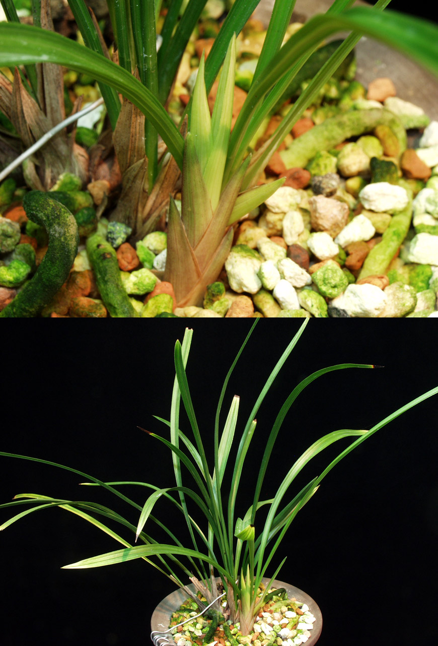 ������ ū������ �� �� �ֽ��ϴ�.