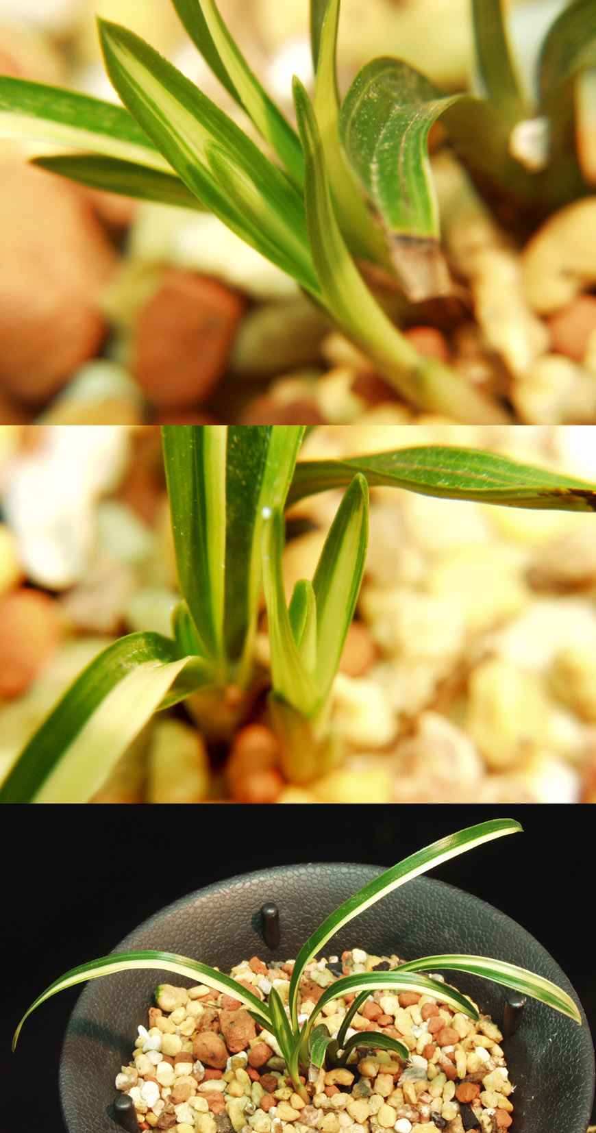 ������ ū������ �� �� �ֽ��ϴ�.