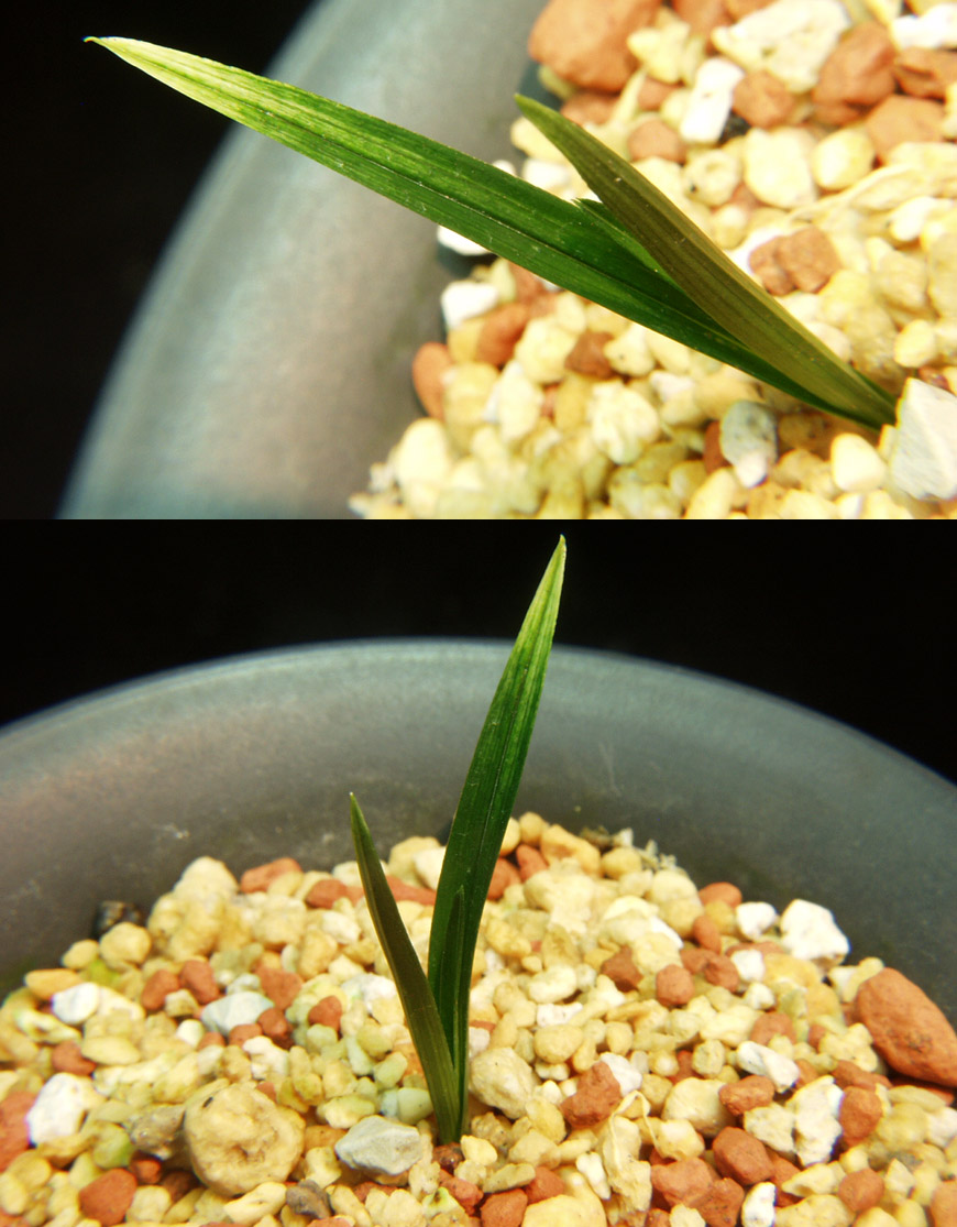 ������ ū������ �� �� �ֽ��ϴ�.