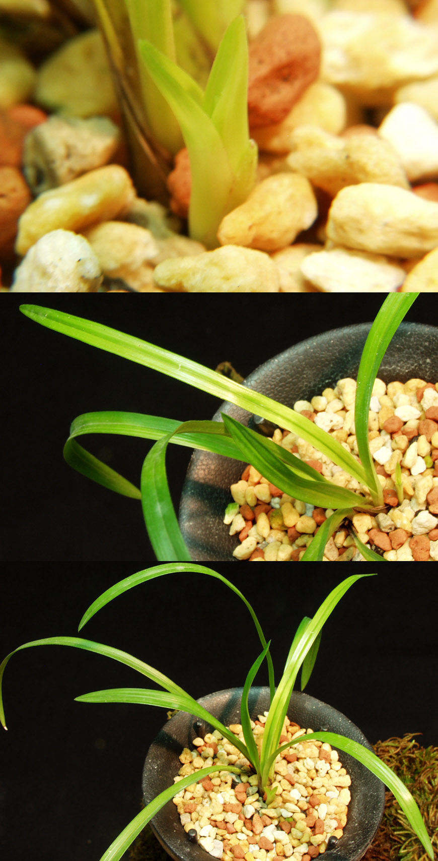 ������ ū������ �� �� �ֽ��ϴ�.