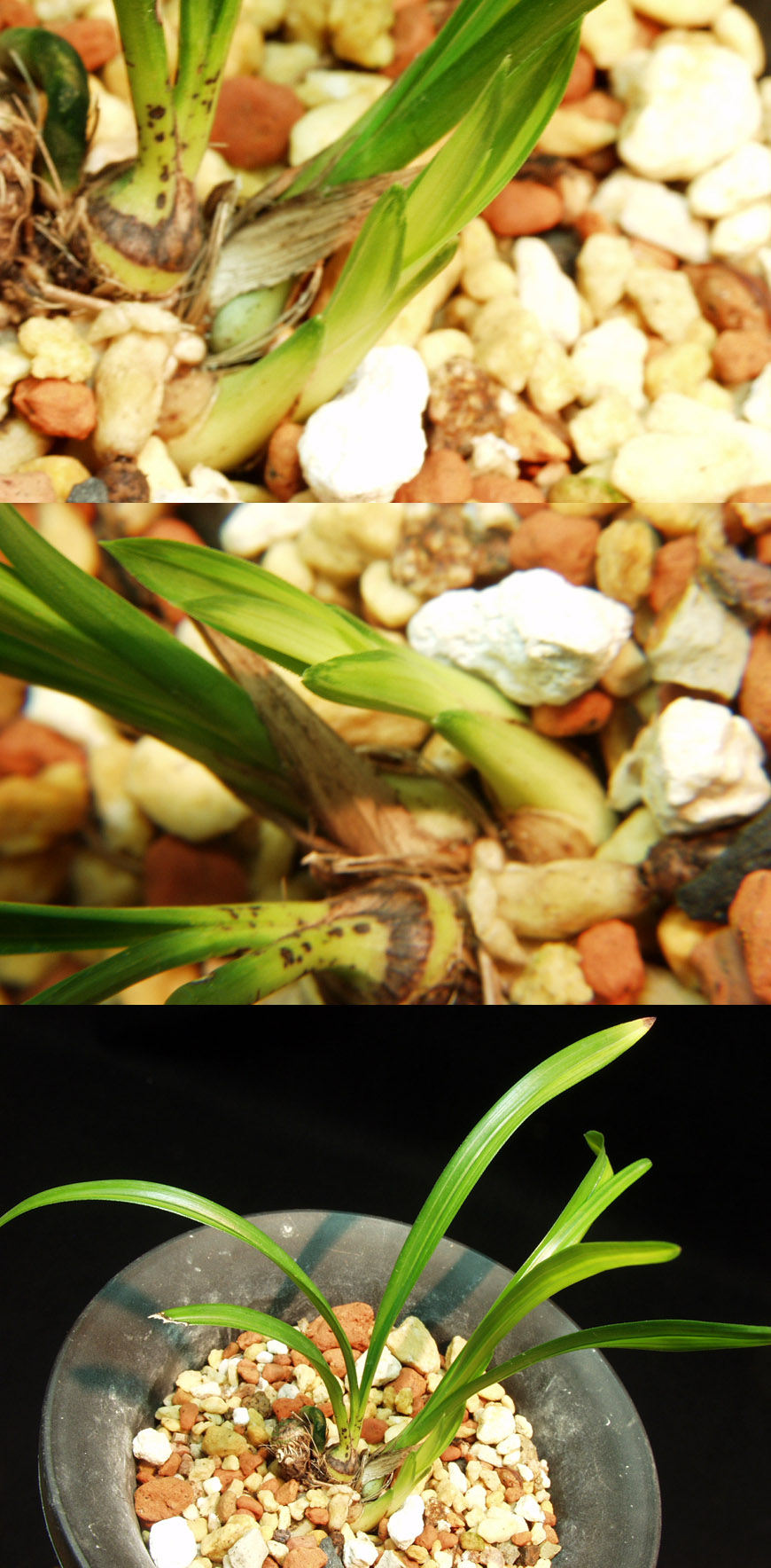 ������ ū������ �� �� �ֽ��ϴ�.