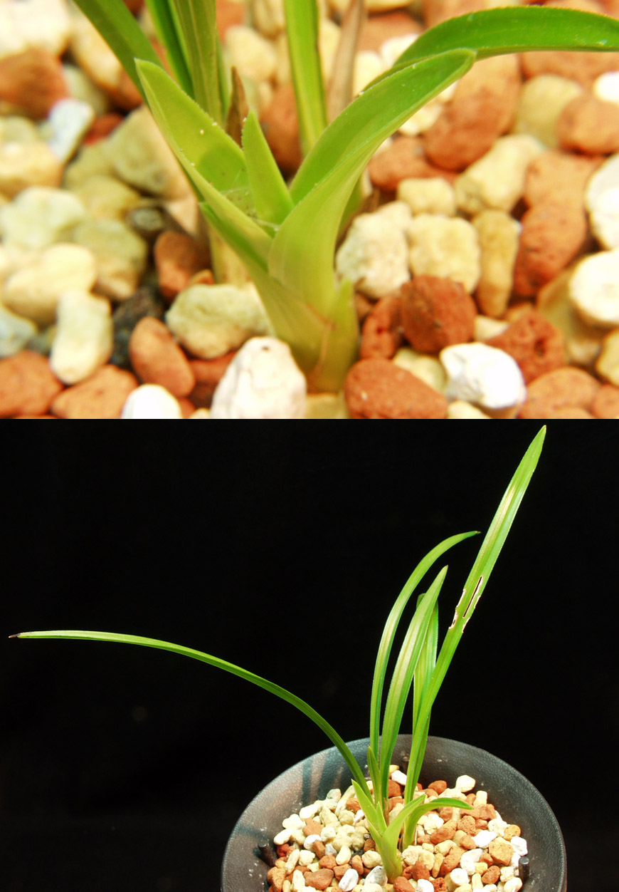 ������ ū������ �� �� �ֽ��ϴ�.