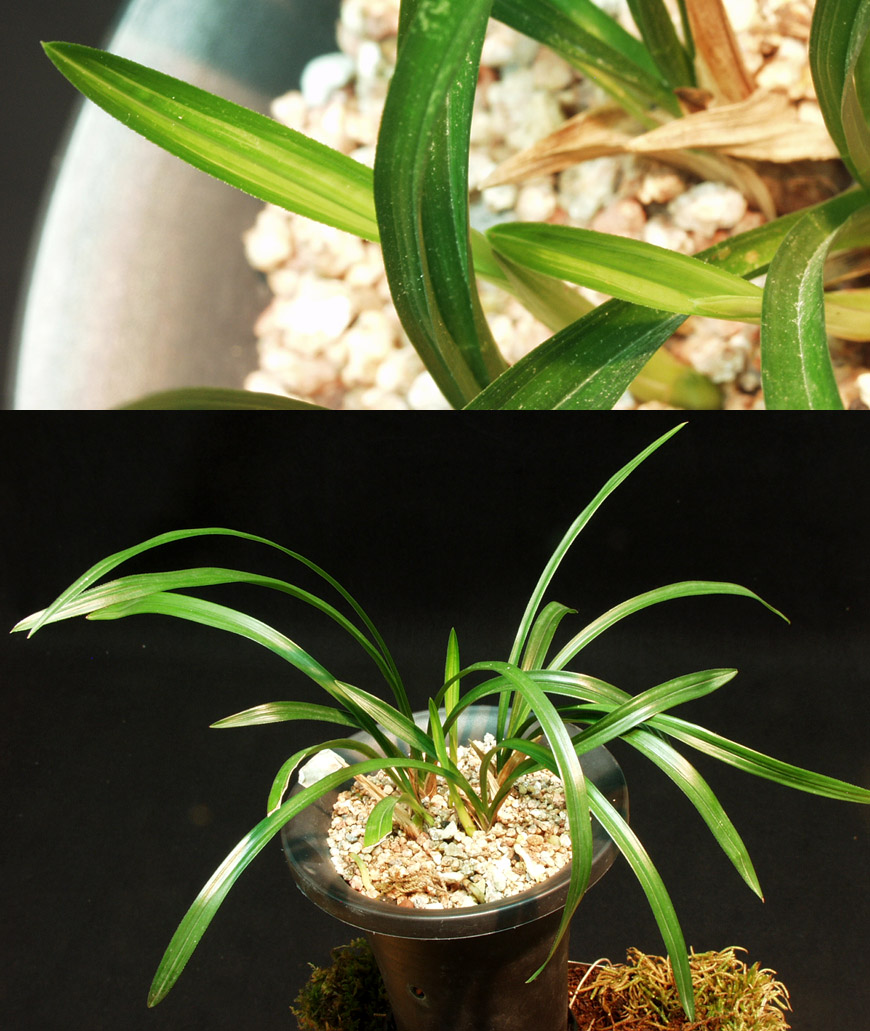 ������ ū������ �� �� �ֽ��ϴ�.