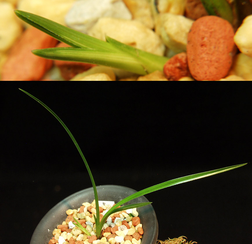 ������ ū������ �� �� �ֽ��ϴ�.