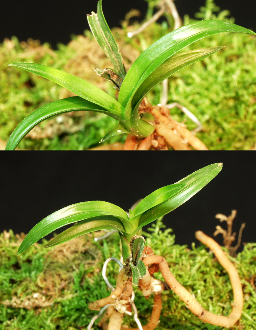 ������ ū������ �� �� �ֽ��ϴ�.