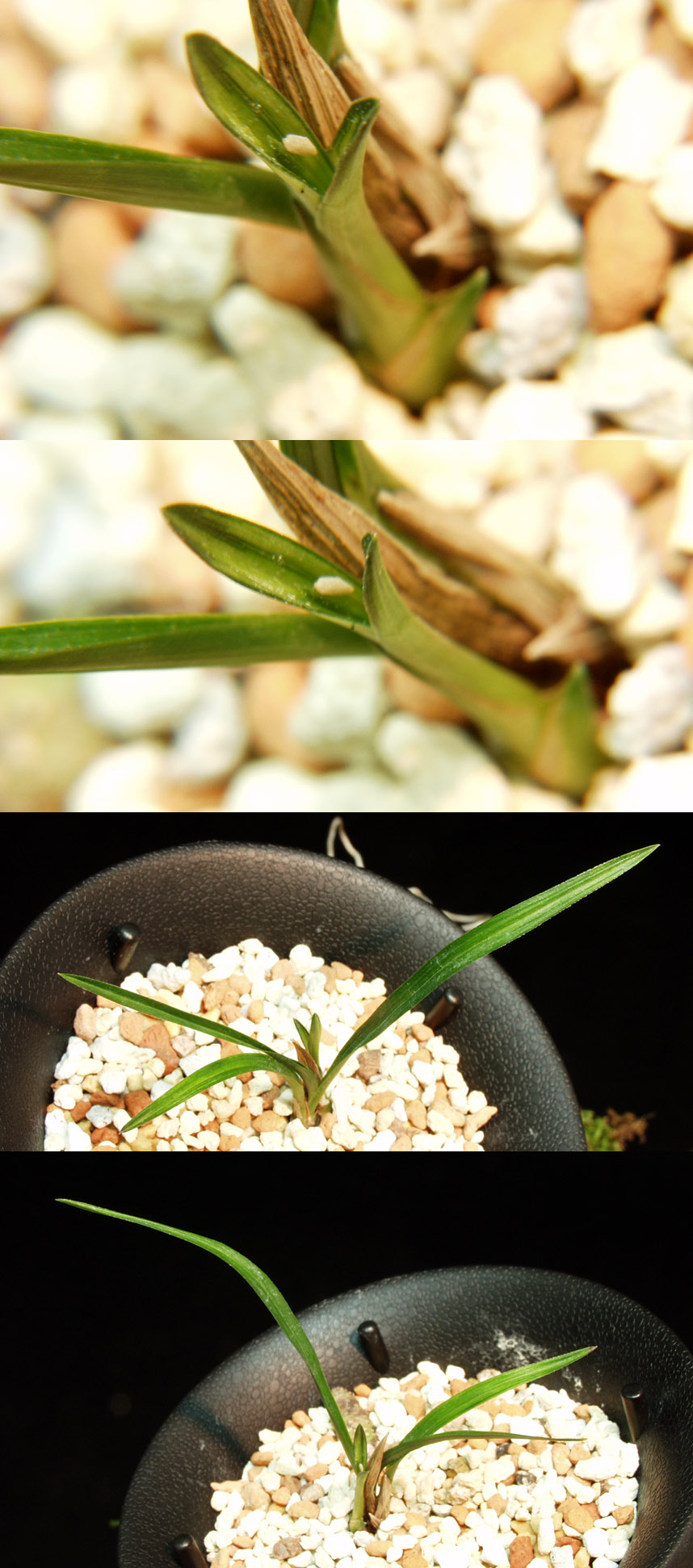 ������ ū������ �� �� �ֽ��ϴ�.