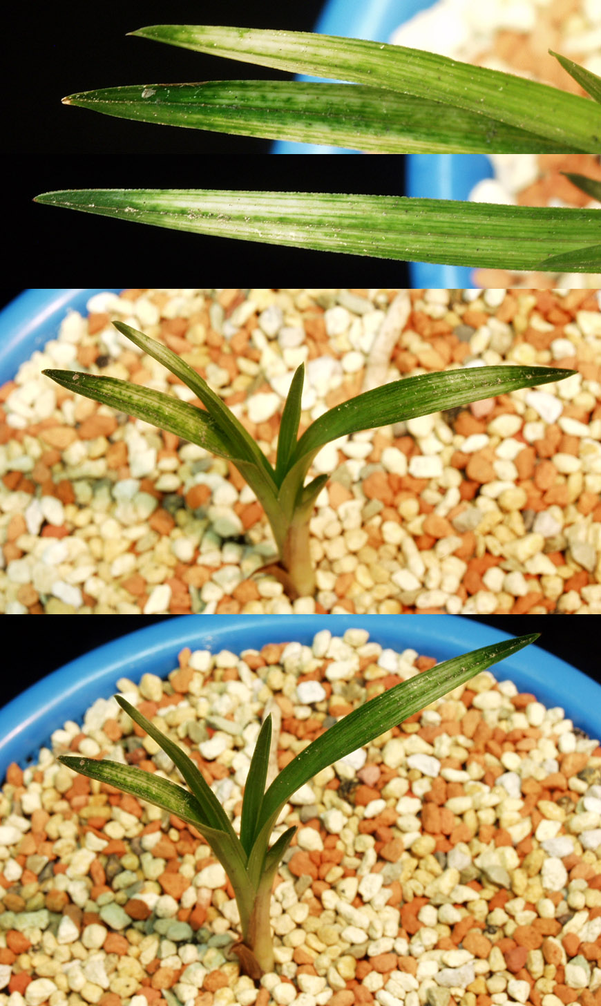 ������ ū������ �� �� �ֽ��ϴ�.