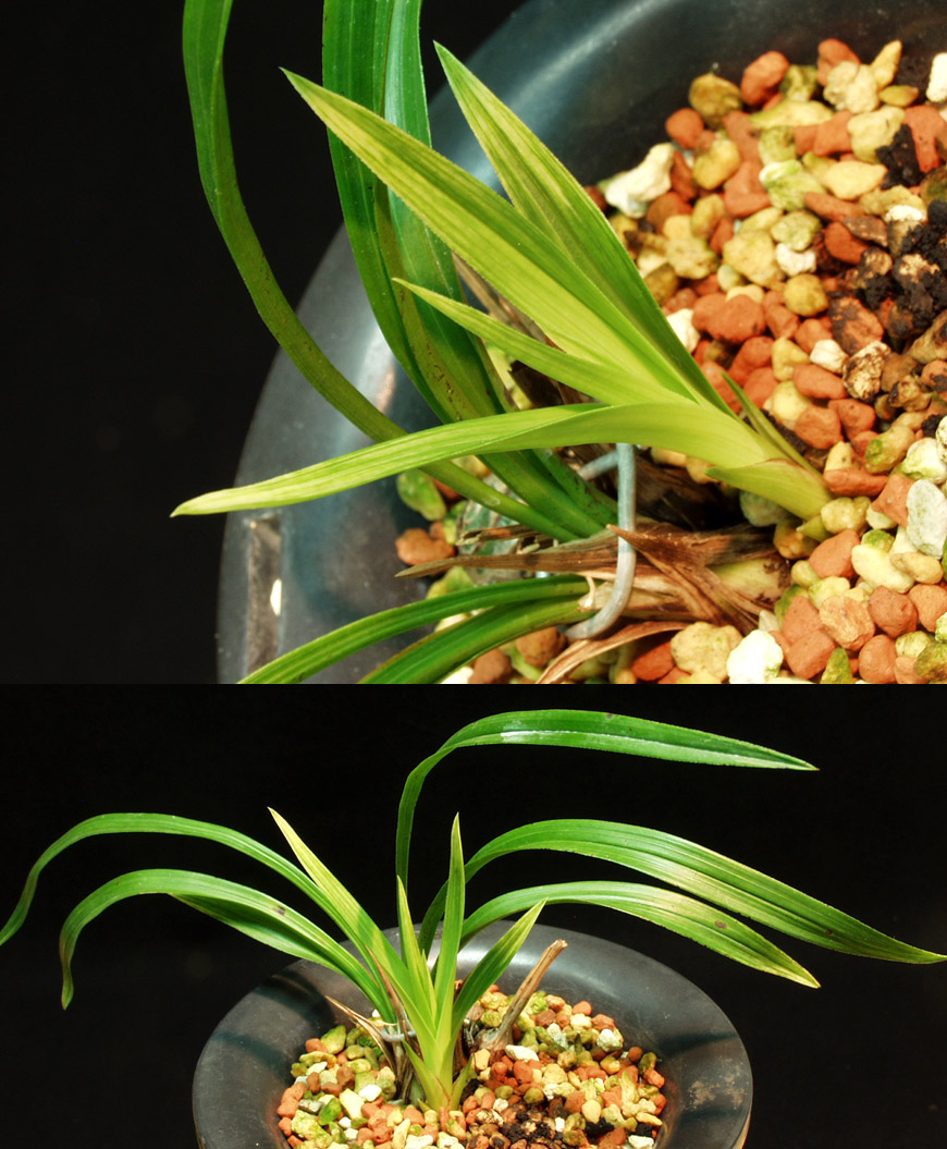 ������ ū������ �� �� �ֽ��ϴ�.