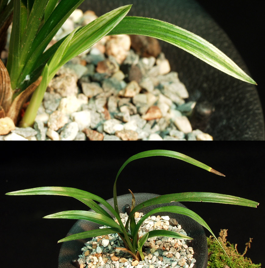 ������ ū������ �� �� �ֽ��ϴ�.