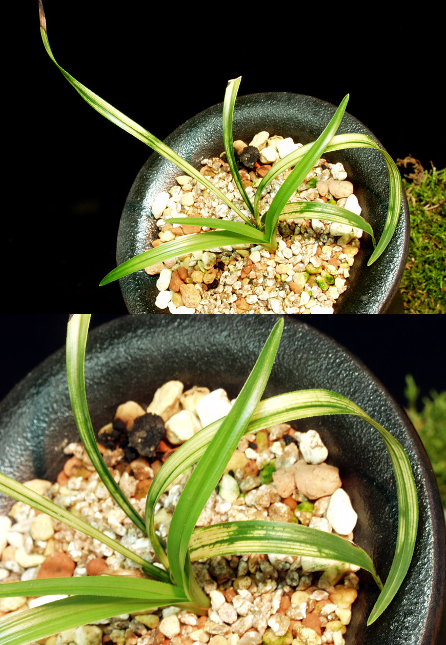 ������ ū������ �� �� �ֽ��ϴ�.