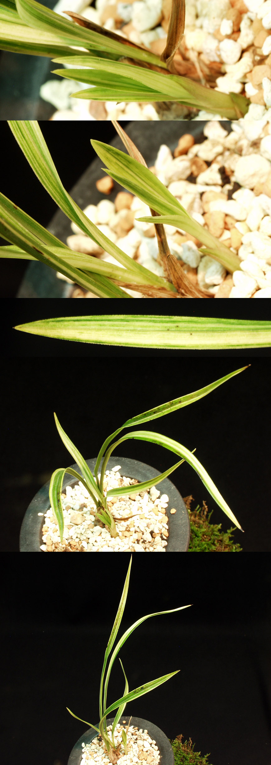 ������ ū������ �� �� �ֽ��ϴ�.