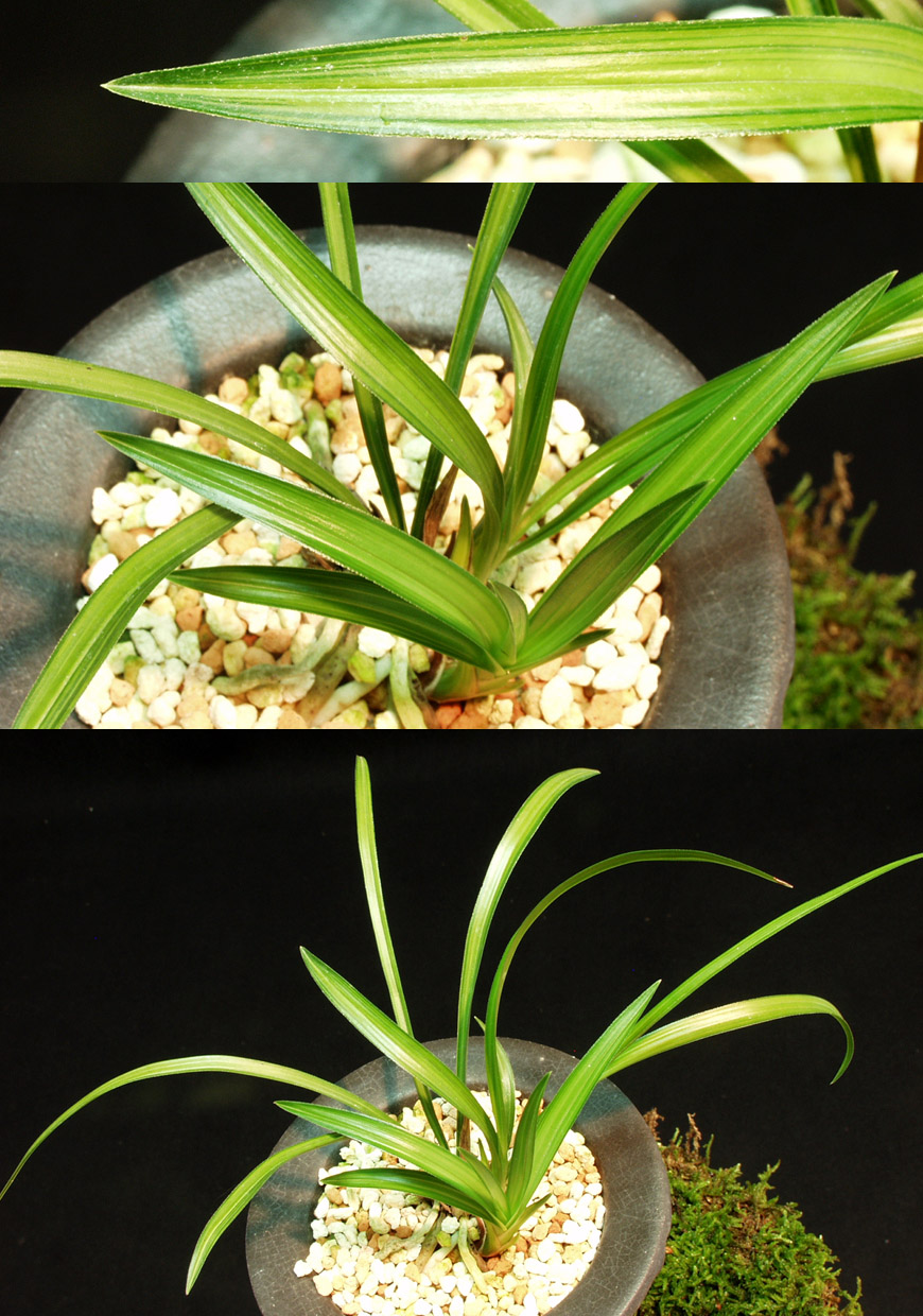 ������ ū������ �� �� �ֽ��ϴ�.