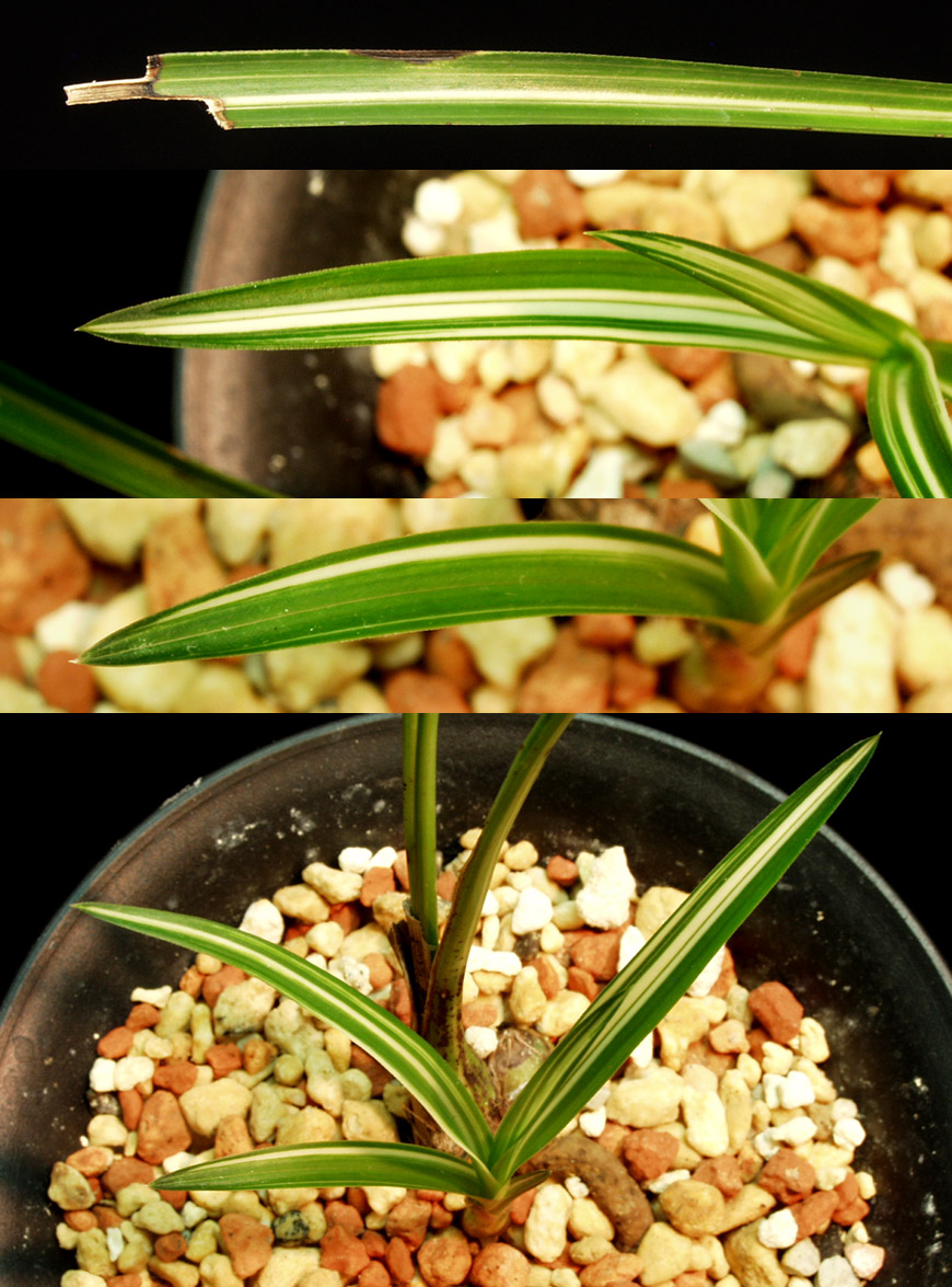 ������ ū������ �� �� �ֽ��ϴ�.