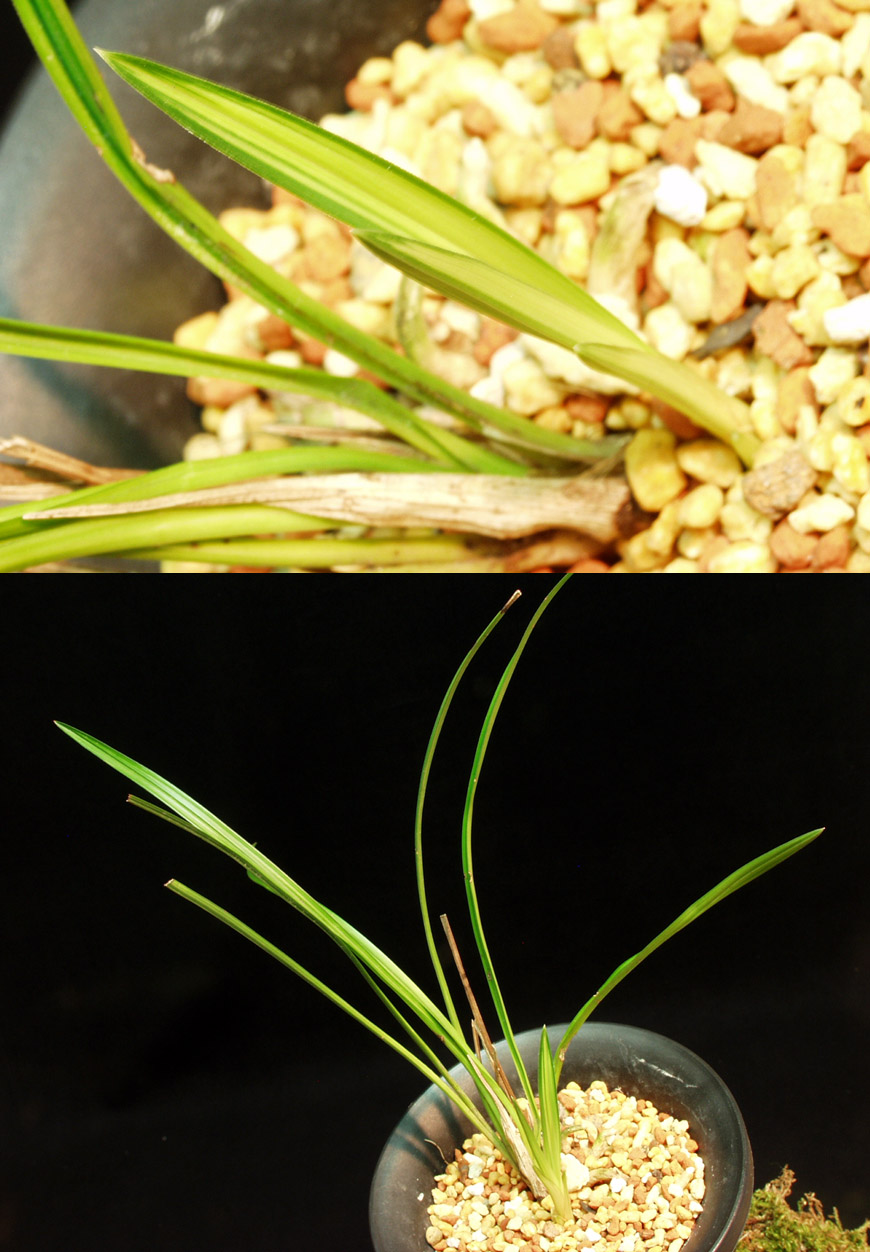 ������ ū������ �� �� �ֽ��ϴ�.