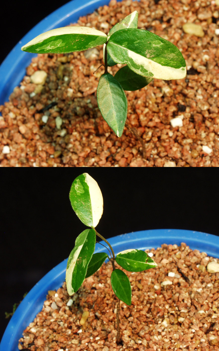 ������ ū������ �� �� �ֽ��ϴ�.