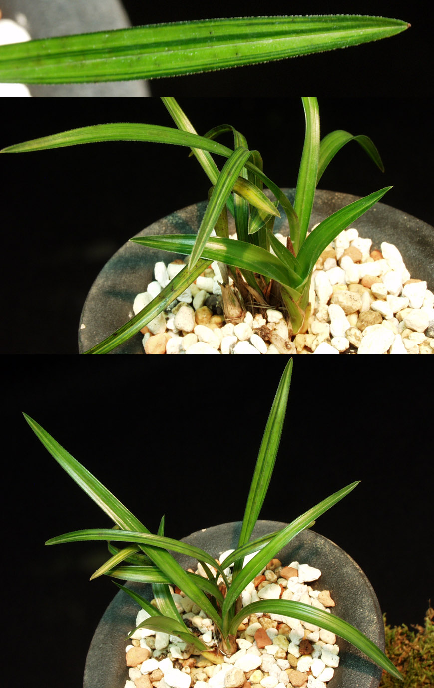 ������ ū������ �� �� �ֽ��ϴ�.