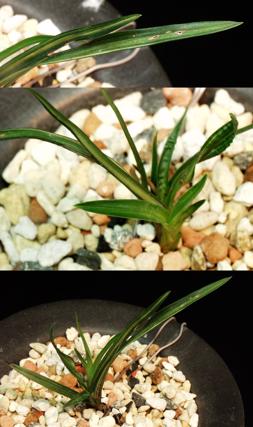 ������ ū������ �� �� �ֽ��ϴ�.