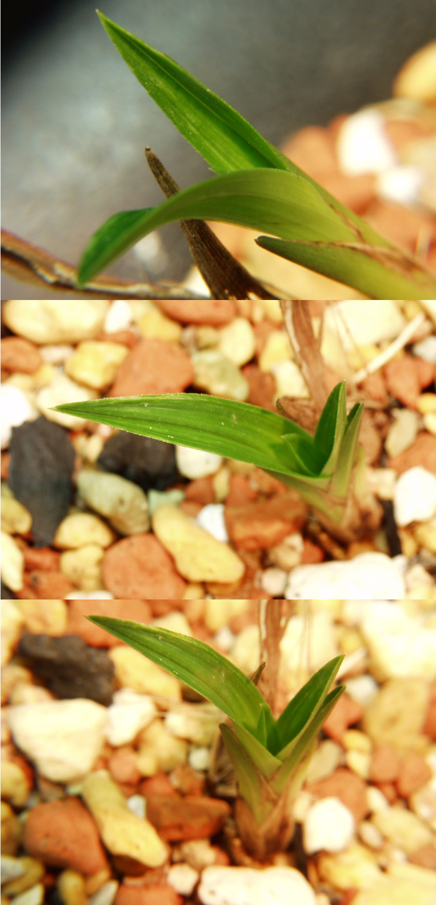 ������ ū������ �� �� �ֽ��ϴ�.