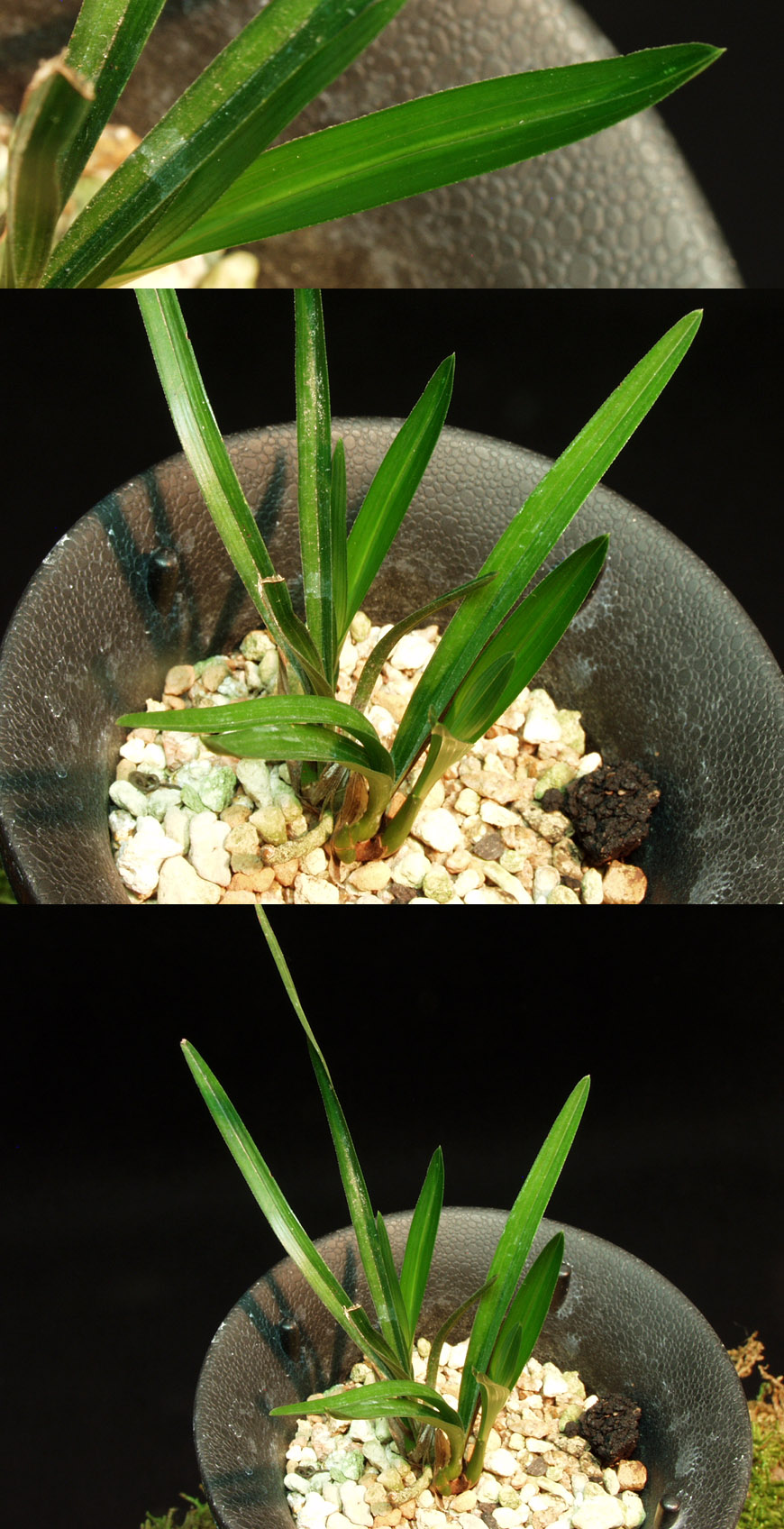 ������ ū������ �� �� �ֽ��ϴ�.