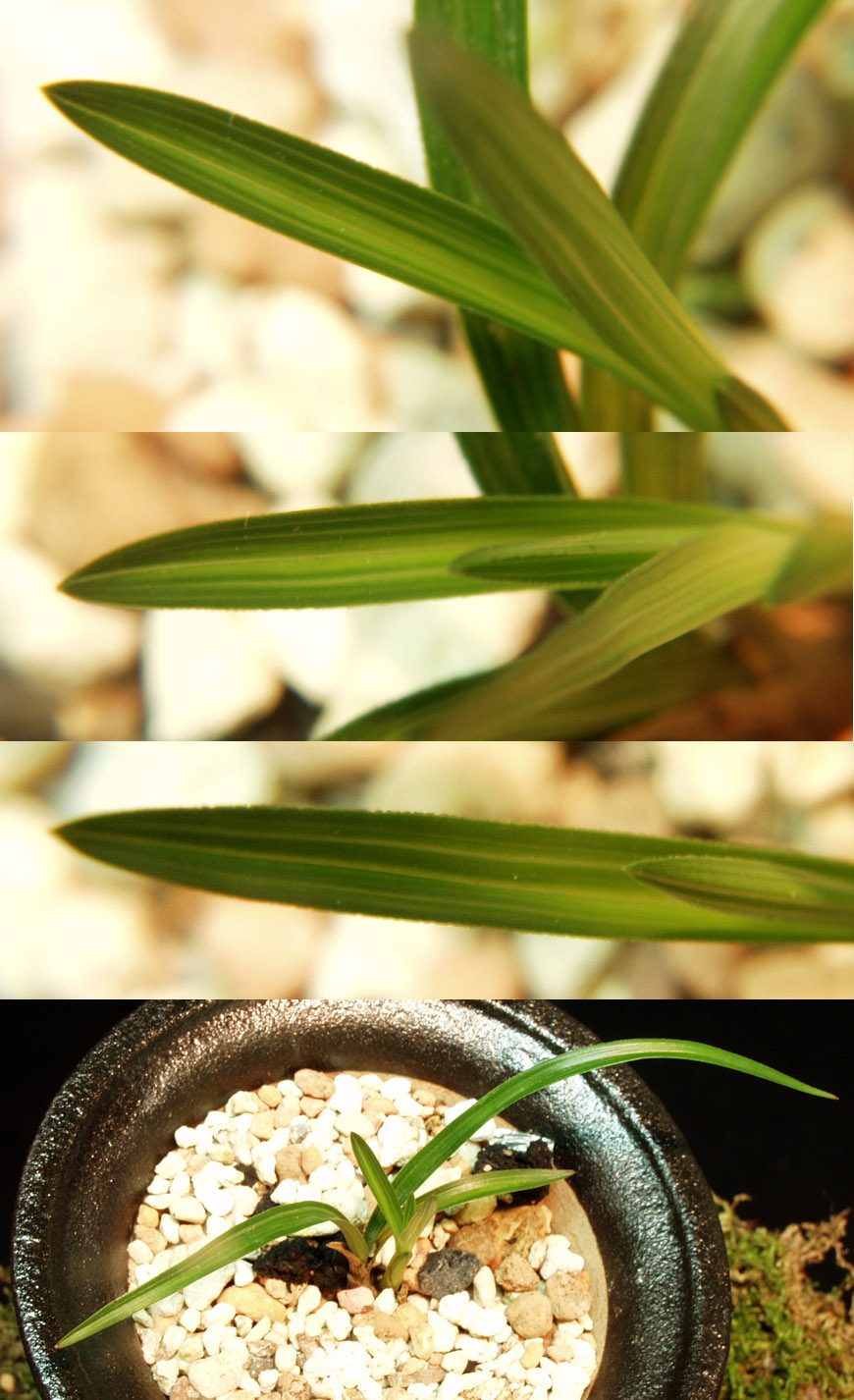 ������ ū������ �� �� �ֽ��ϴ�.