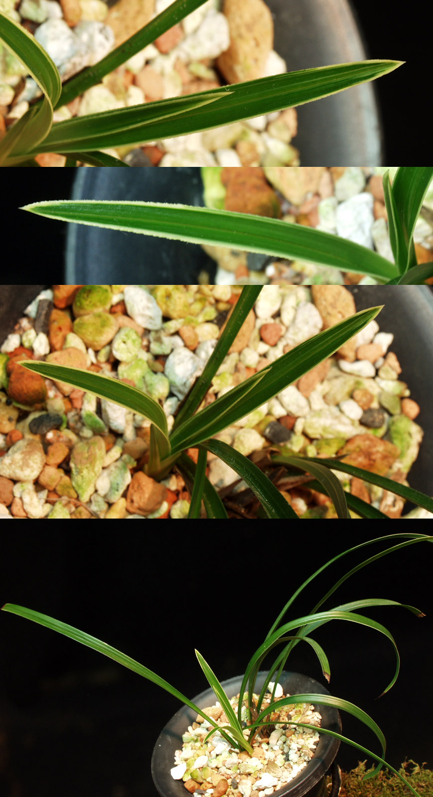 ������ ū������ �� �� �ֽ��ϴ�.