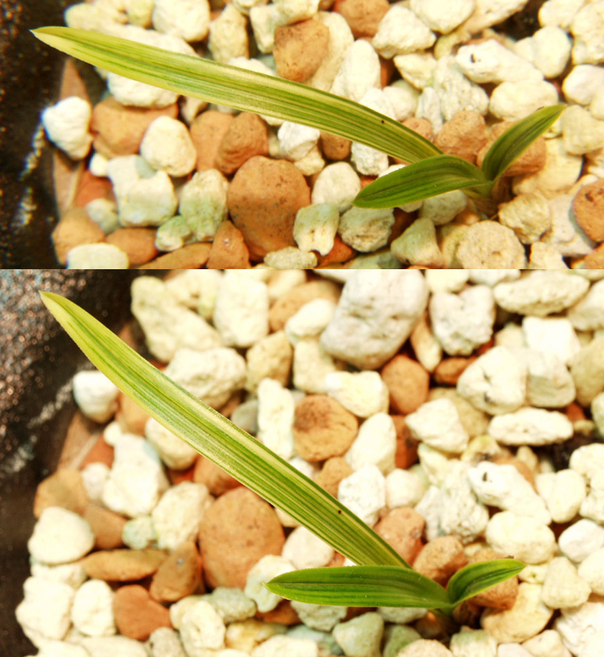 ������ ū������ �� �� �ֽ��ϴ�.