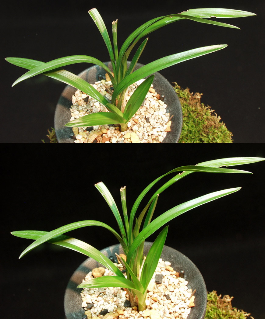 ������ ū������ �� �� �ֽ��ϴ�.