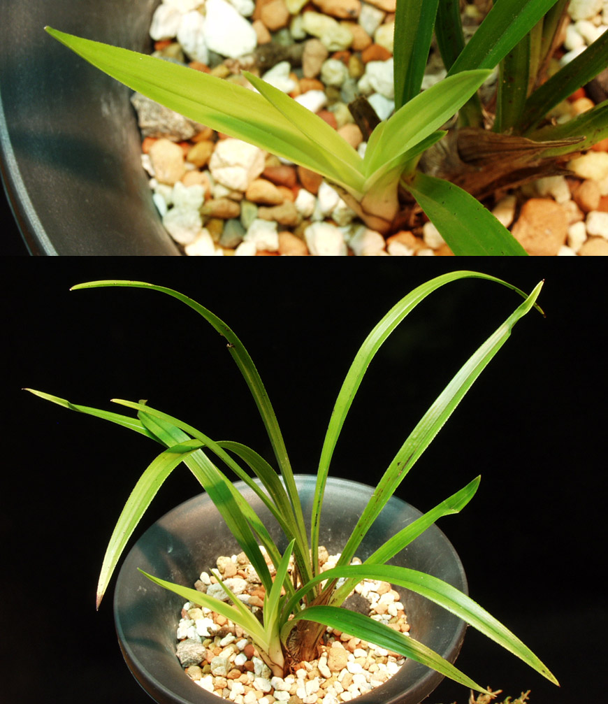 ������ ū������ �� �� �ֽ��ϴ�.