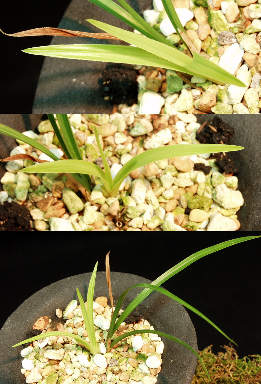 ������ ū������ �� �� �ֽ��ϴ�.