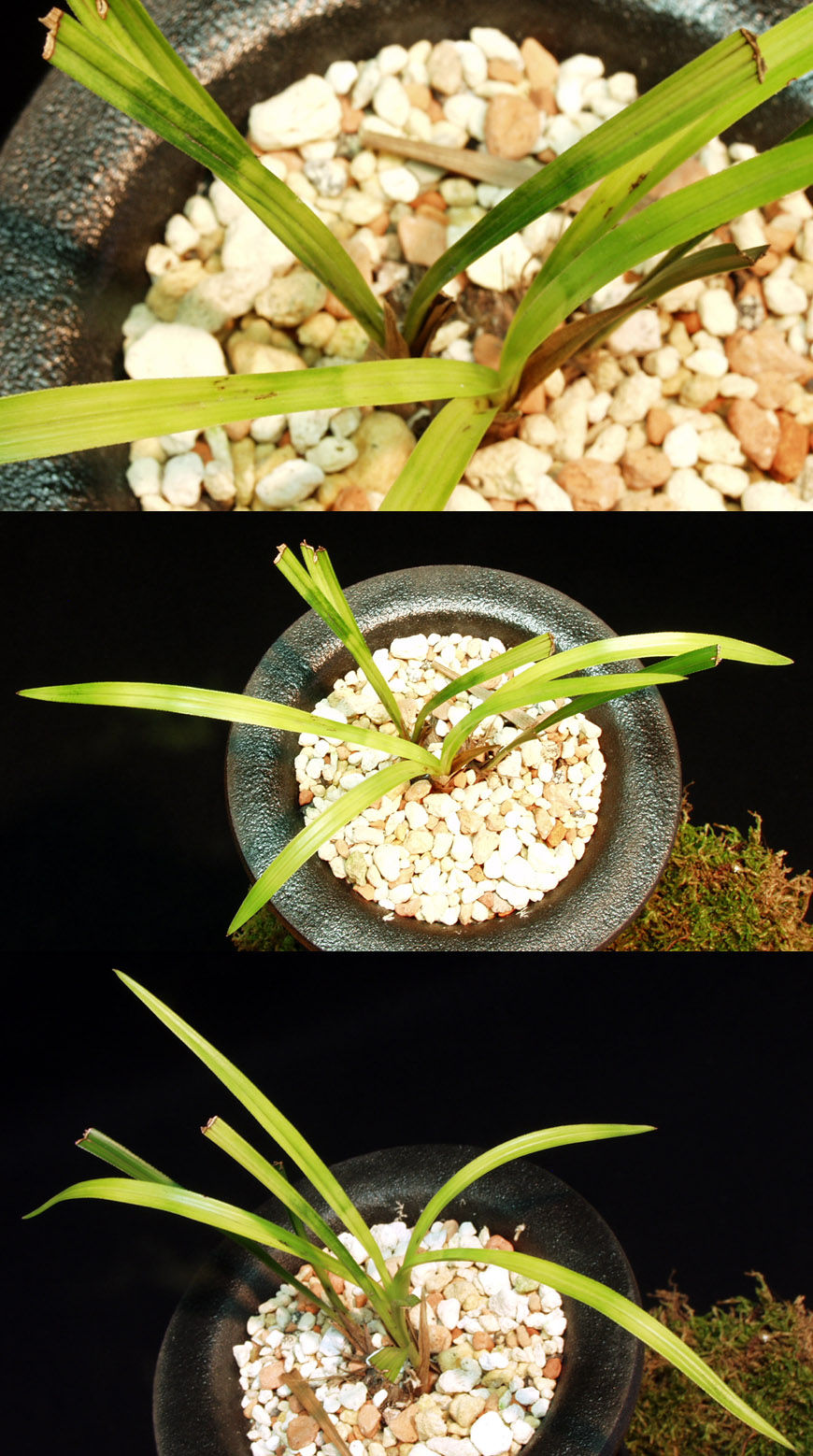 ������ ū������ �� �� �ֽ��ϴ�.