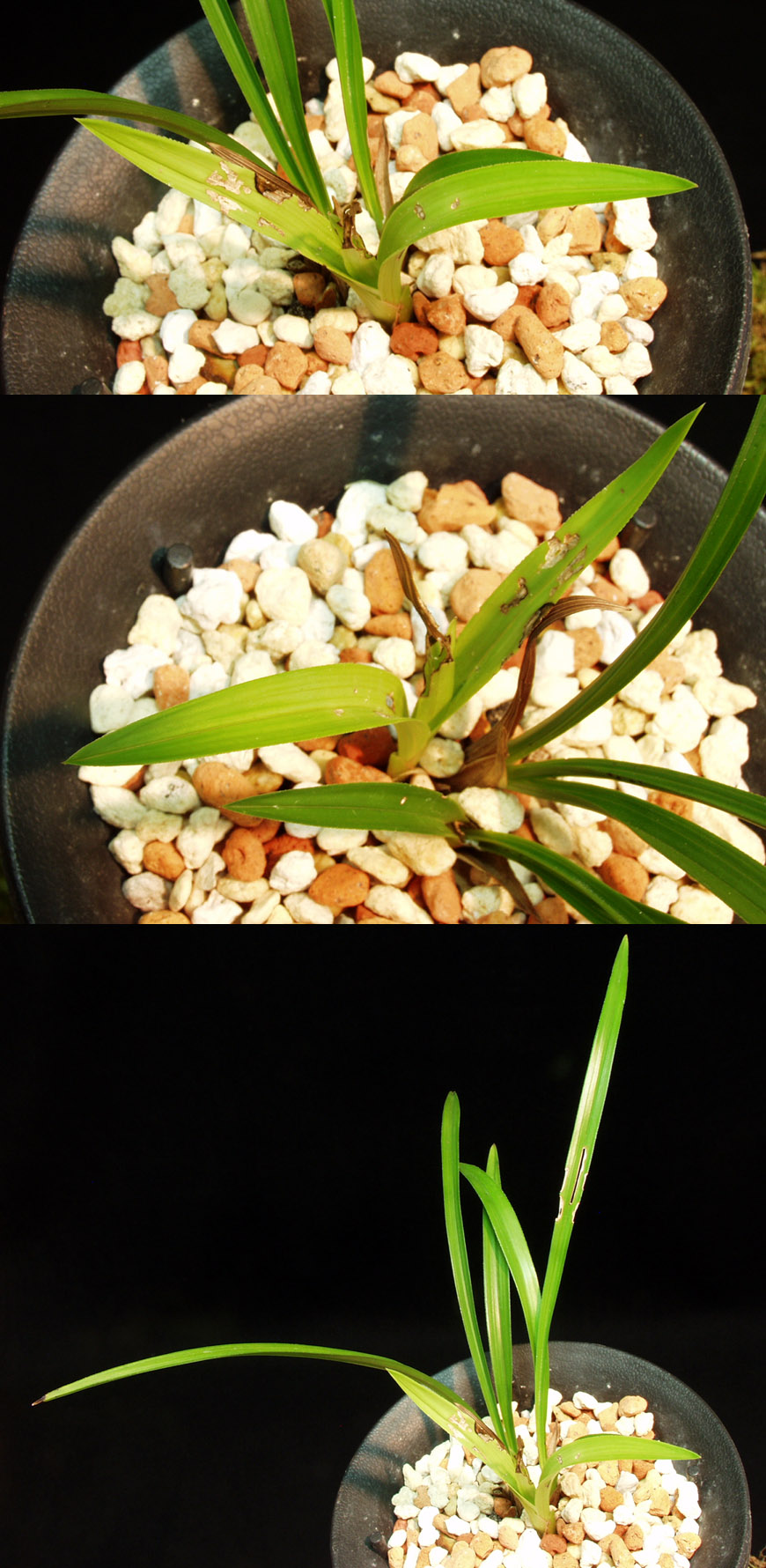 ������ ū������ �� �� �ֽ��ϴ�.