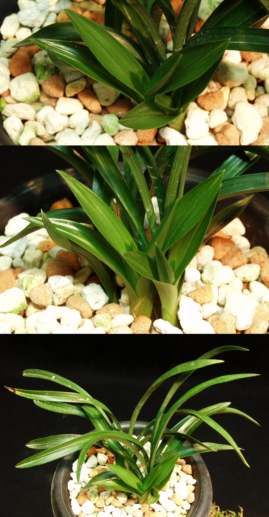 ������ ū������ �� �� �ֽ��ϴ�.