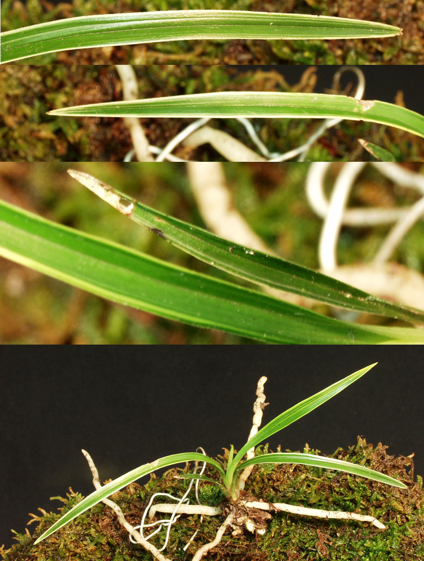 ������ ū������ �� �� �ֽ��ϴ�.