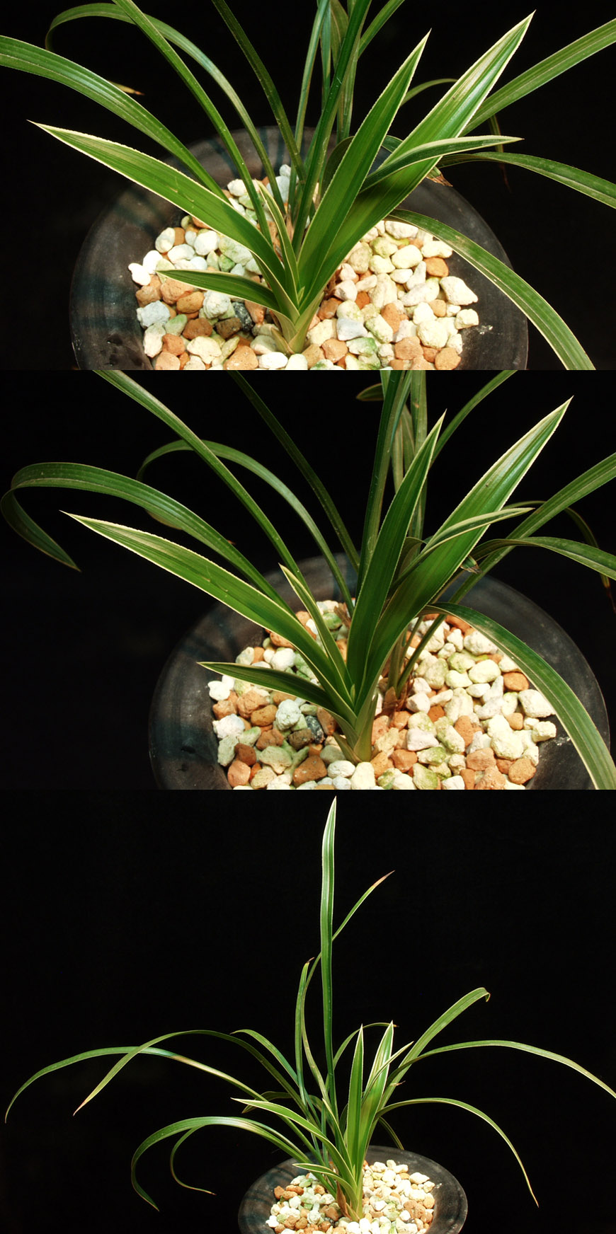 ������ ū������ �� �� �ֽ��ϴ�.